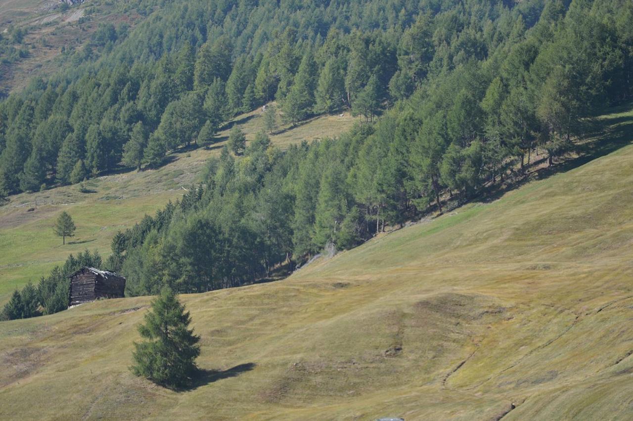 Hotel Compagnoni Livigno Bagian luar foto